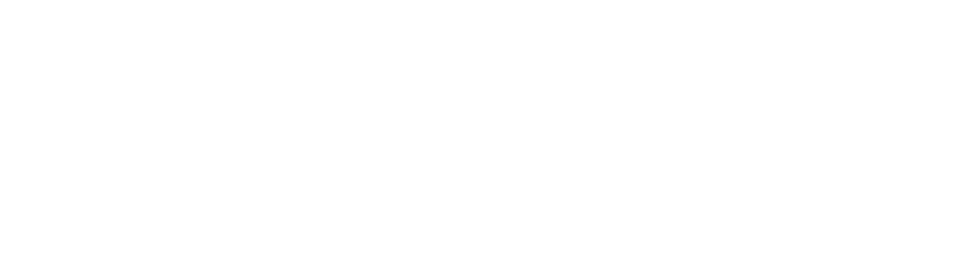 Agnostic Consulting Group